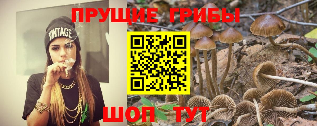 Галлюциногенные грибы MAGIC MUSHROOMS Сатка